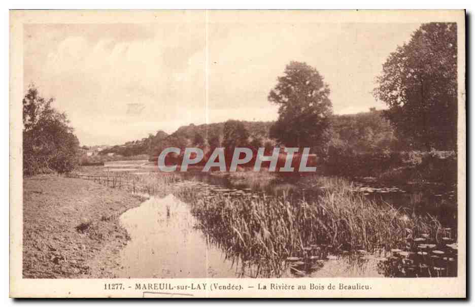 CPA Mareuil sur Lay La riviere au bois de beaulieu