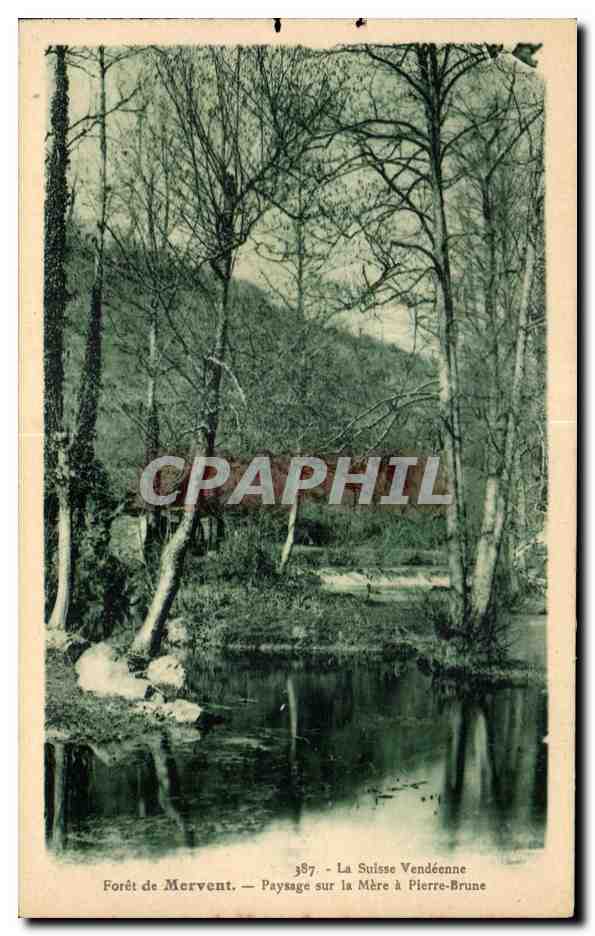 CPA La suisse vendeenne foret de mervent paysage sur la mere a pierre brune