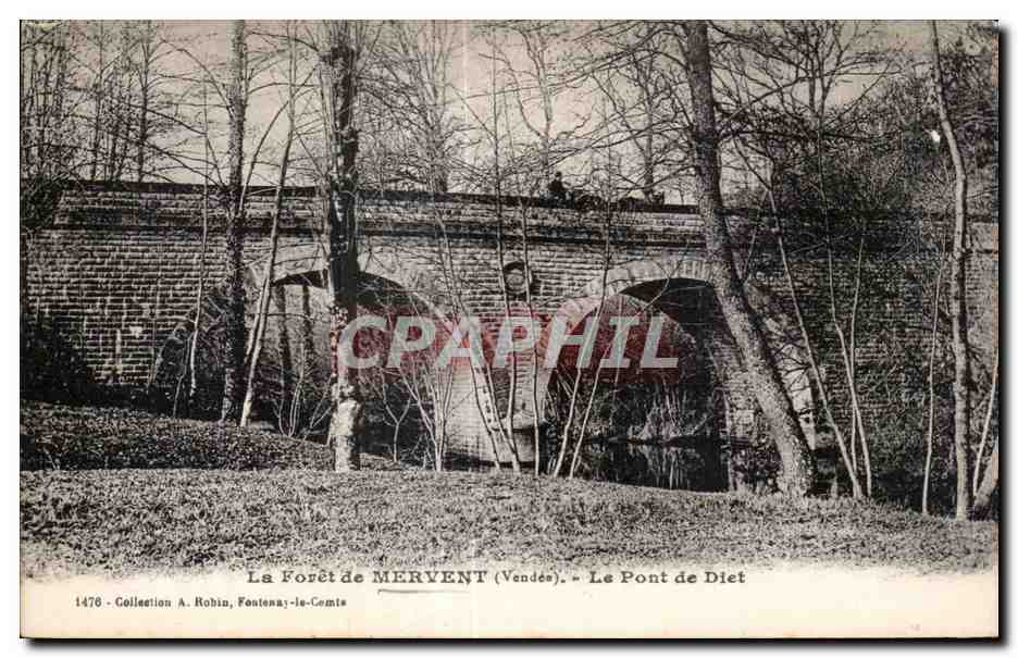 La Forêt de MERVENT (Vendée) — Le Pont de Diet — Éditeur A. Robin, Fontenay-le-Comte, n° 1476