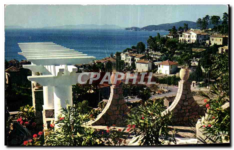 CPA Cote d Azur French Riviera Le Lavandou Var 