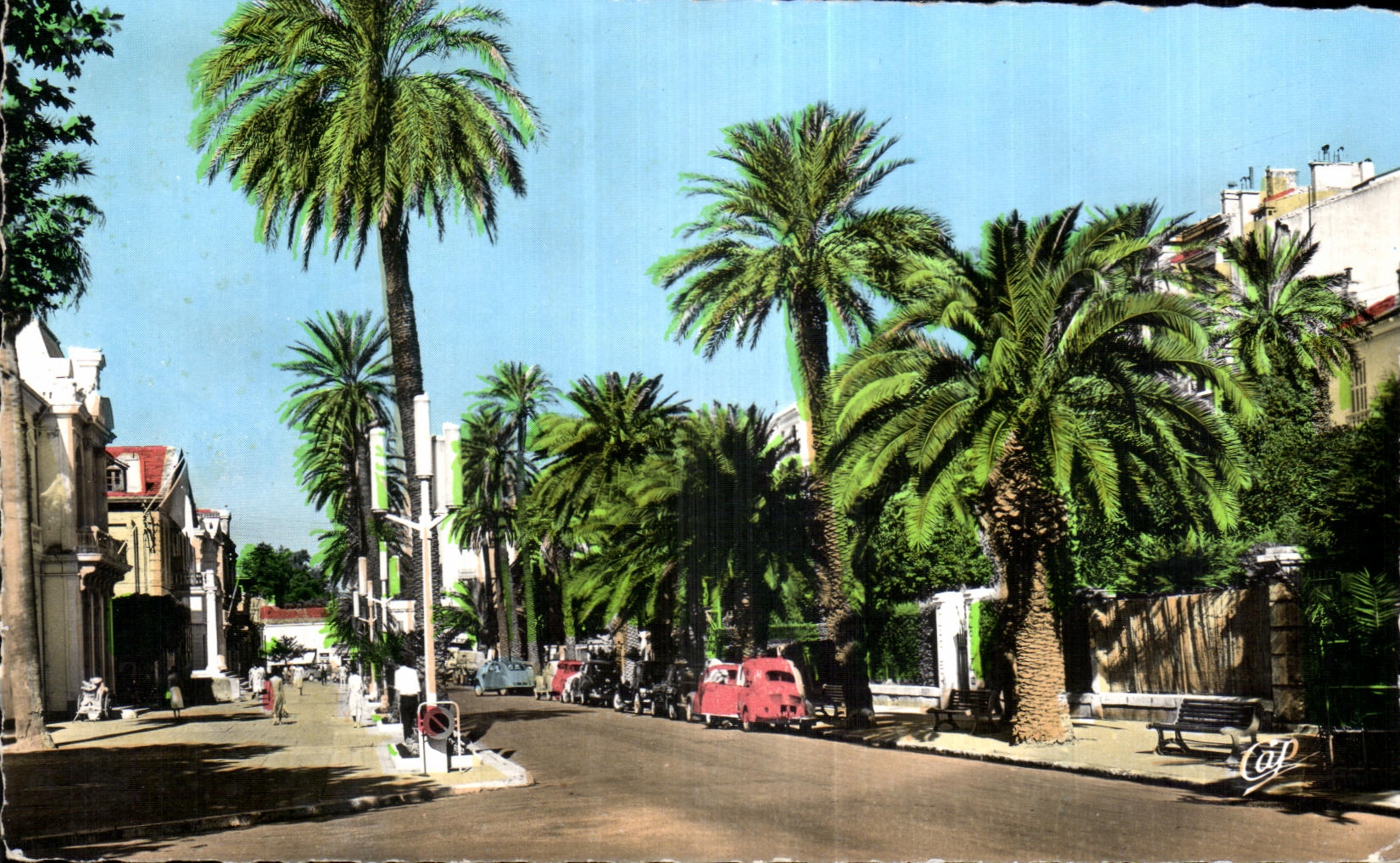 Avenue de Belgique — Hyères-les-Palmiers — éditeur Réal-Photo-Cliodes Arts Photo-Graphiques