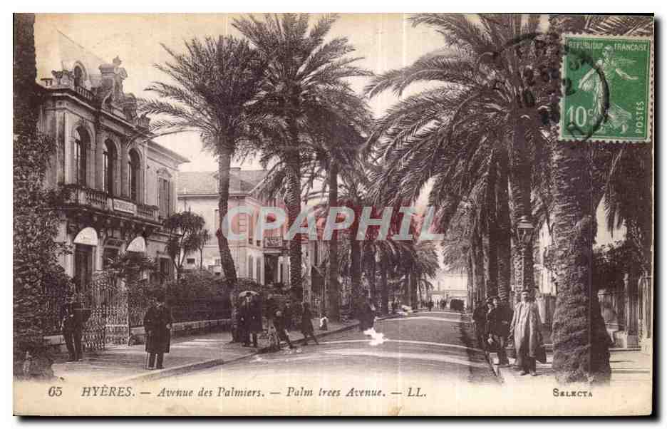 CPA Hyeres Avenue des Palmiers Palm trees Avenue