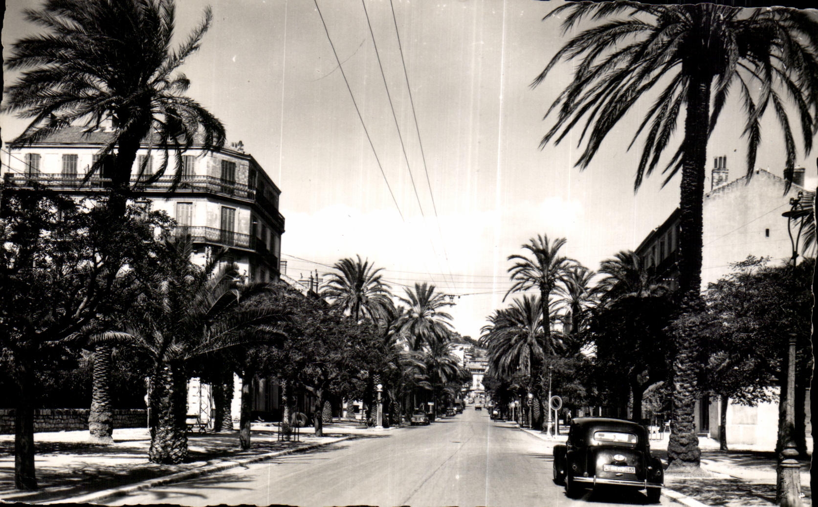 Hyères-les-Palmiers — Avenue Gambetta — Société Éditions de France