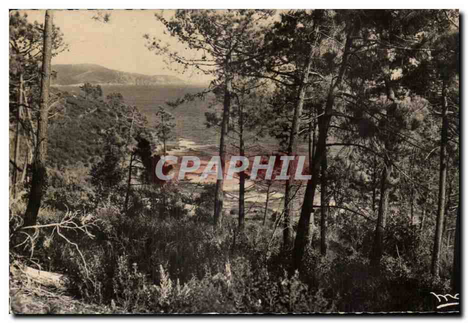 Vue de la Côte d'Azur — Bon Porto — Éditions Coll. Leoni