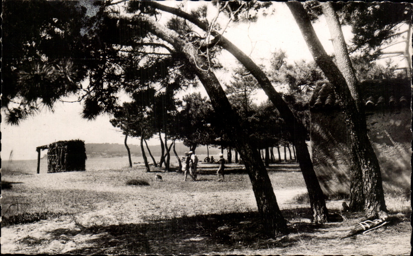 CPA Env de Cavalaire sur Mer Plage de la Croix la Pinede