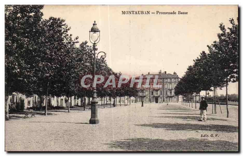 Montauban — Promenade Basse — Edit. G. V.