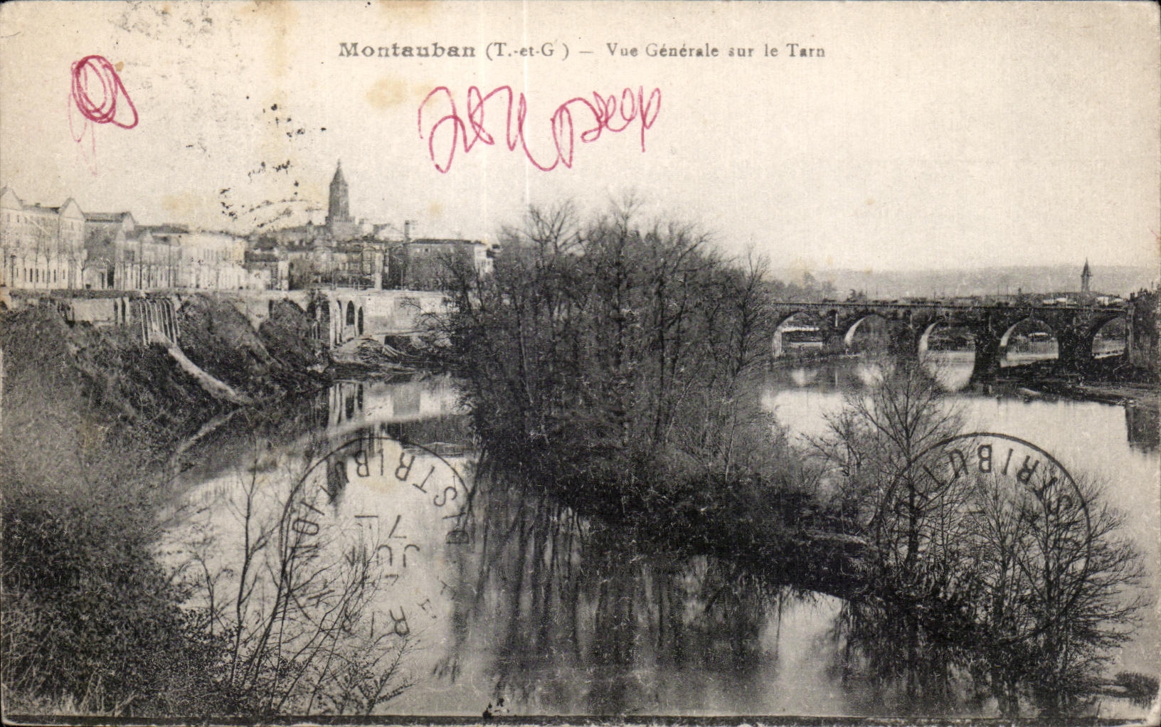 Montauban (Tarn-et-Garonne) — Vue Générale sur le Tarn — Éditeur : Tribut