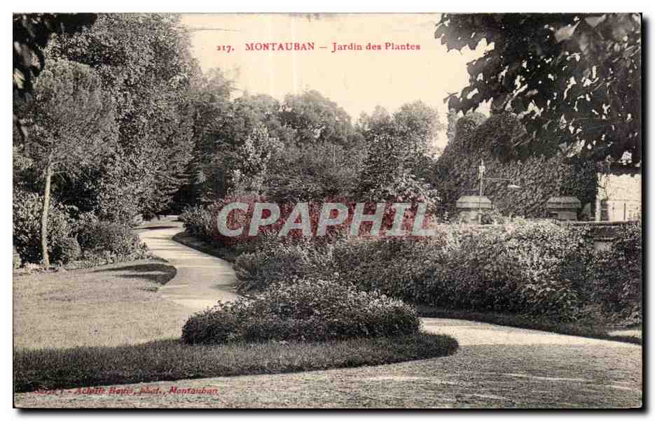 CPA Montauban Jardin des Piantes