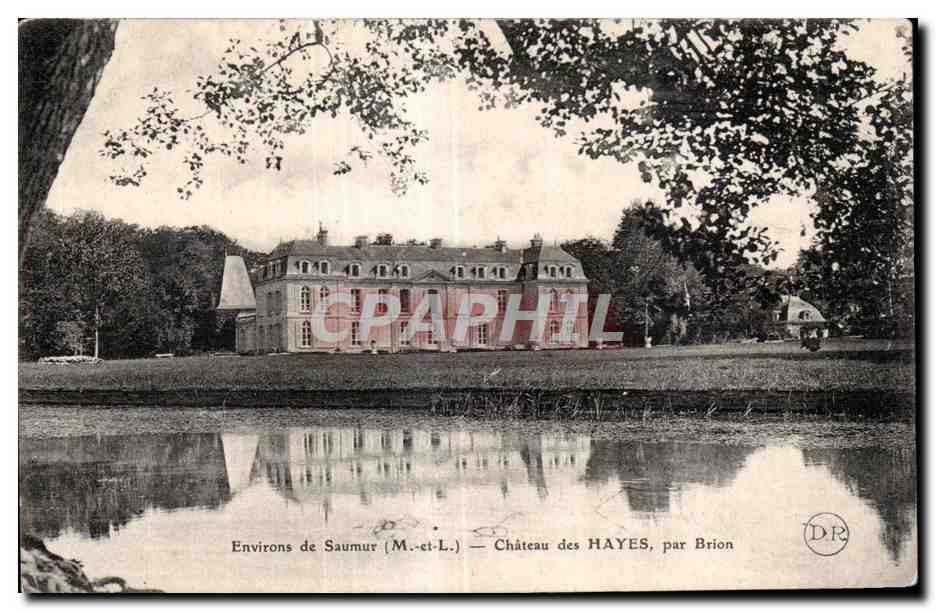 CPA Environs de Saumur Chateau des hayes par Brion