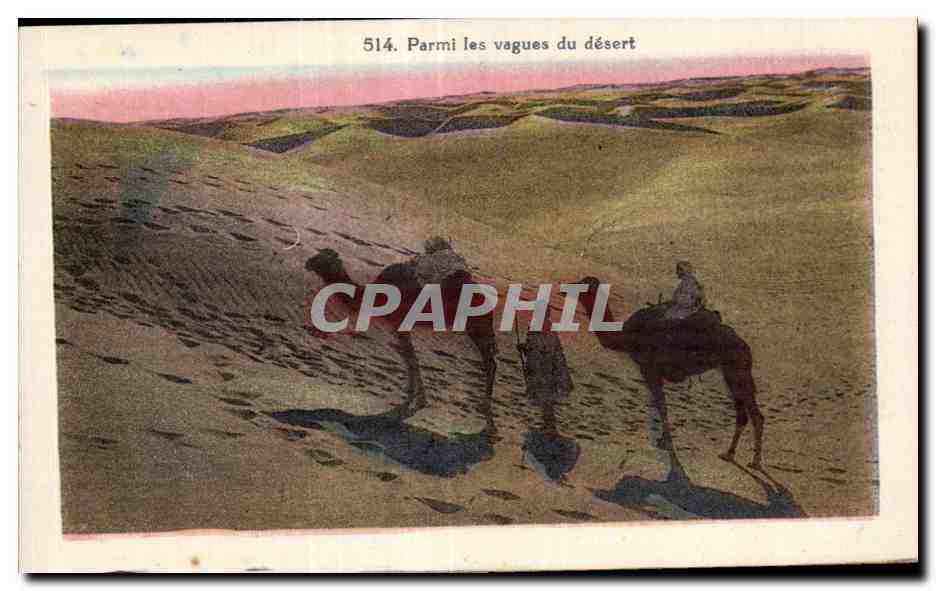 CPA Parmi les vagues du desert Chameau Camel 