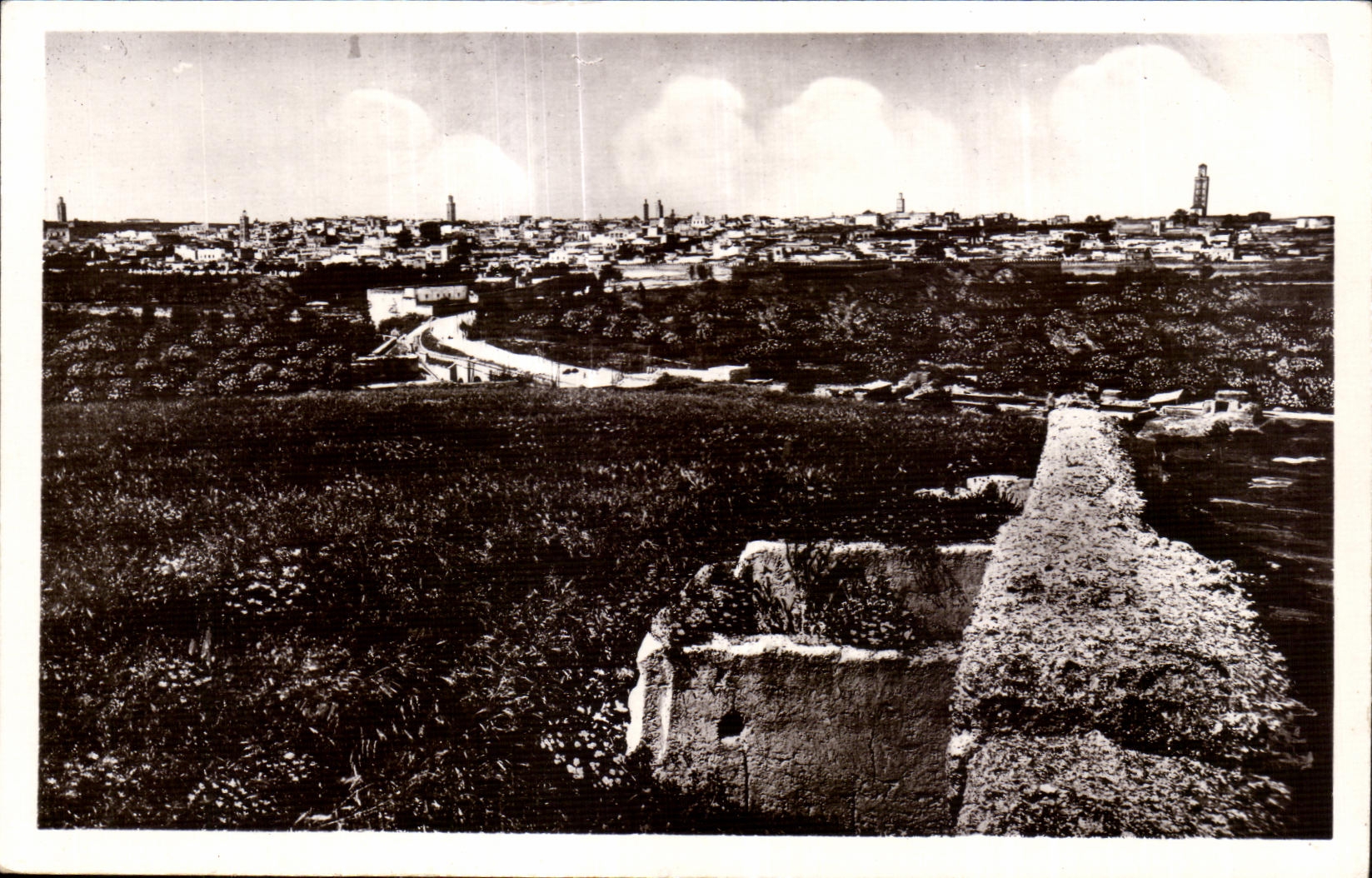 Meknès (Maroc) — Vue générale de la Médina « Vieille-Ville » — Phot. Co Bihin Macon