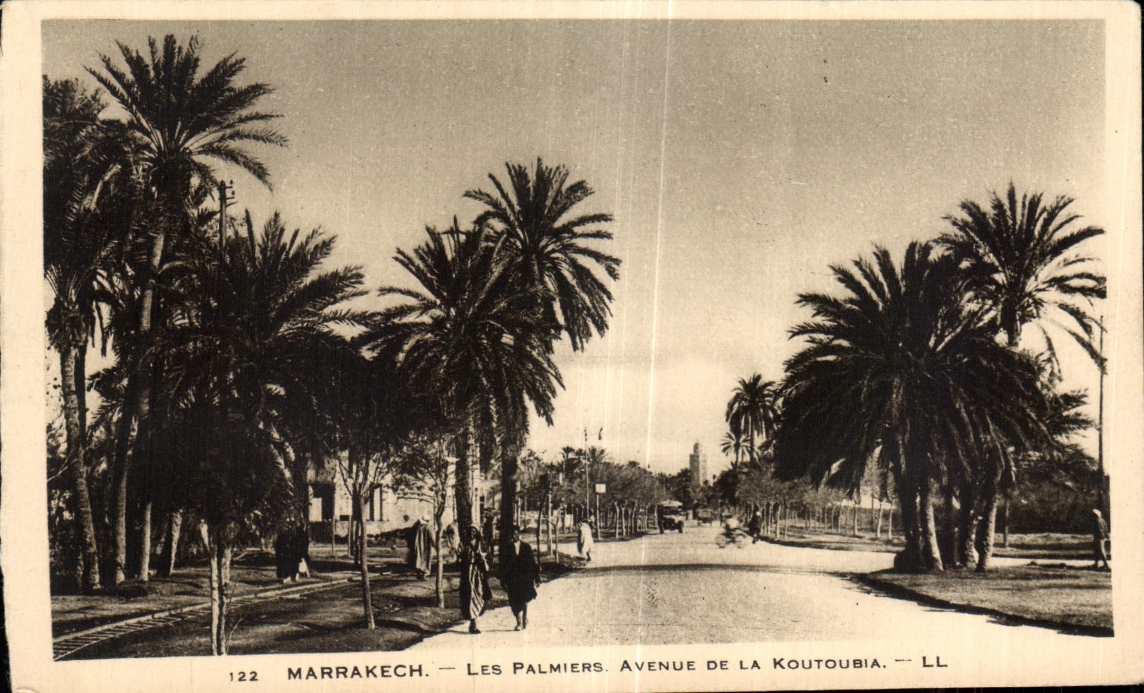 CPA Maroc Marrakech Les Palmiers Avenue De La Koutoubia