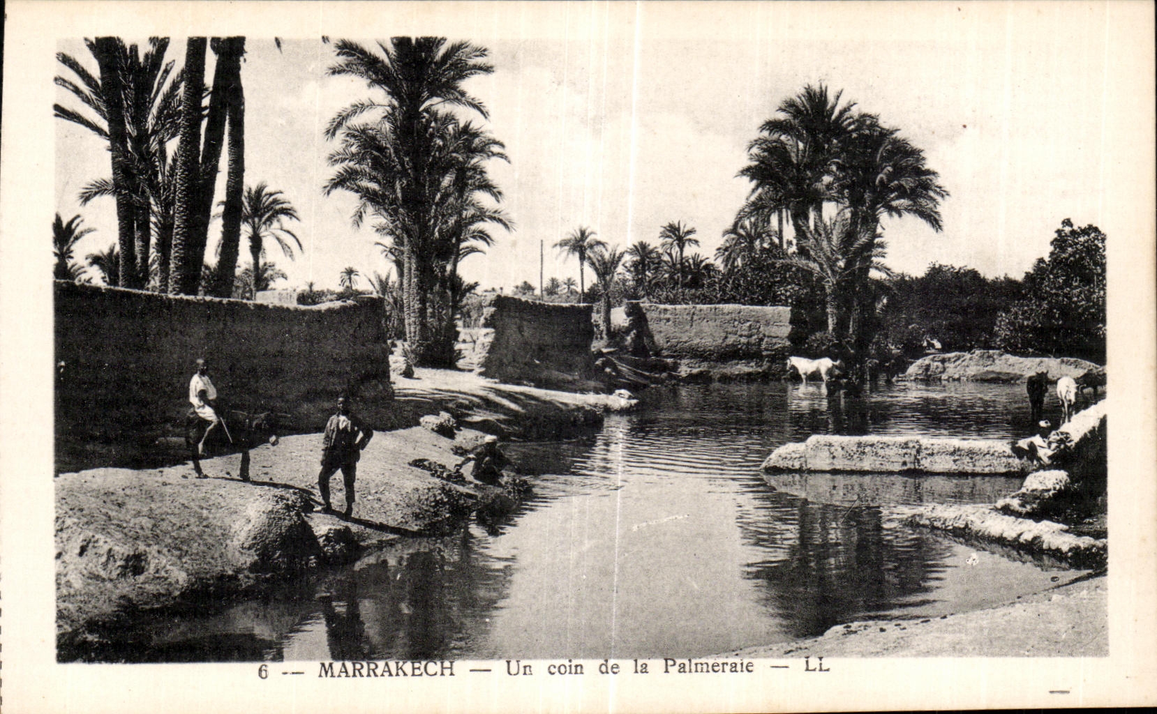 CPA Maroc marrakech Un coin de la Palmeraie