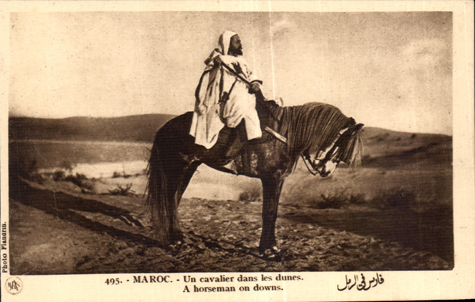 CPA Maroc Un cavalier dans les dunes A horseman on downs Cheval Horse