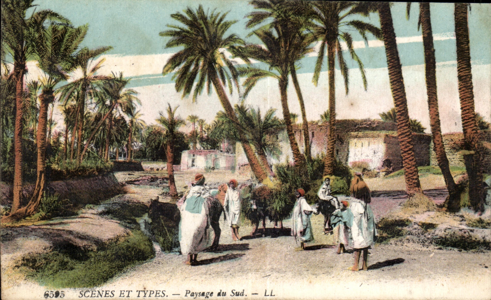 CPA Maroc Scenes et Types Paysages du Sud Ane Donkey 