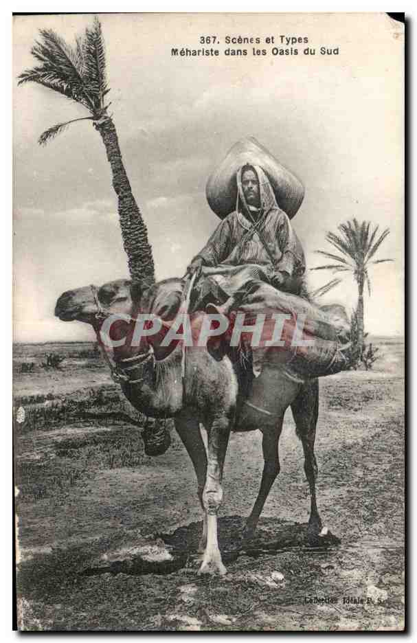 CPA Maroc Scenes et types mehariste dans les oasis du Sud Chameau Camel