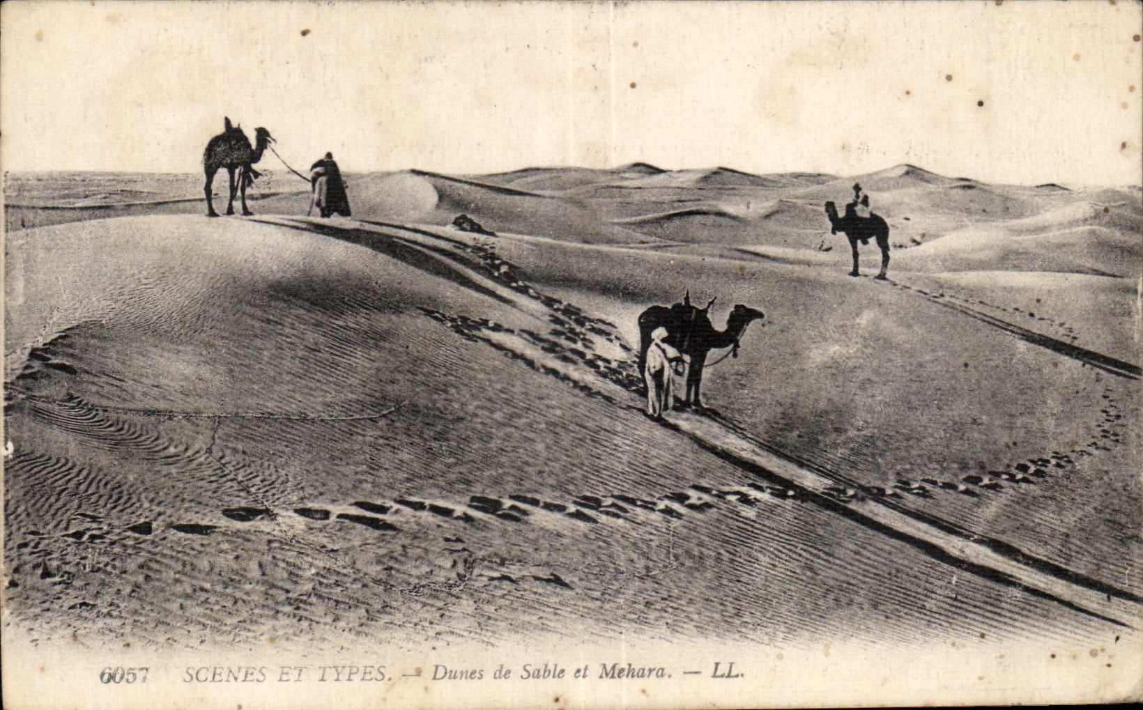 CPA Maroc Scenes Et Types Dunes de Sable et Mehara Camel Chameau 