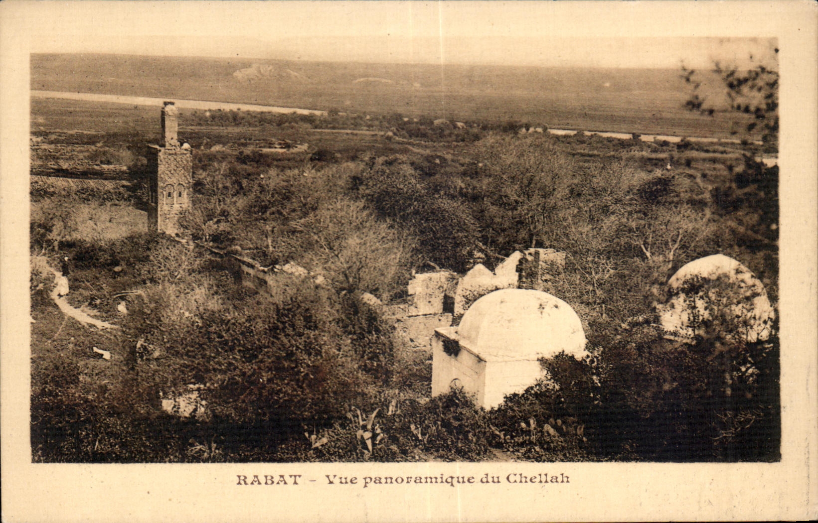 CPA Maroc Rabat Vue Panoramique du Chellah