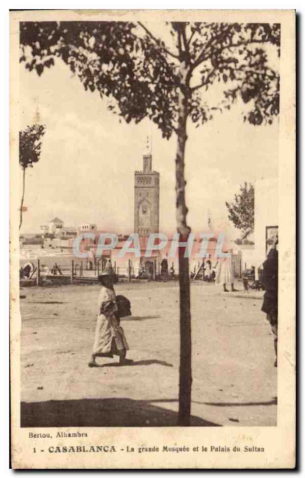 CPA Maroc Casablanca la grande mosquee et le Palais du Saltan