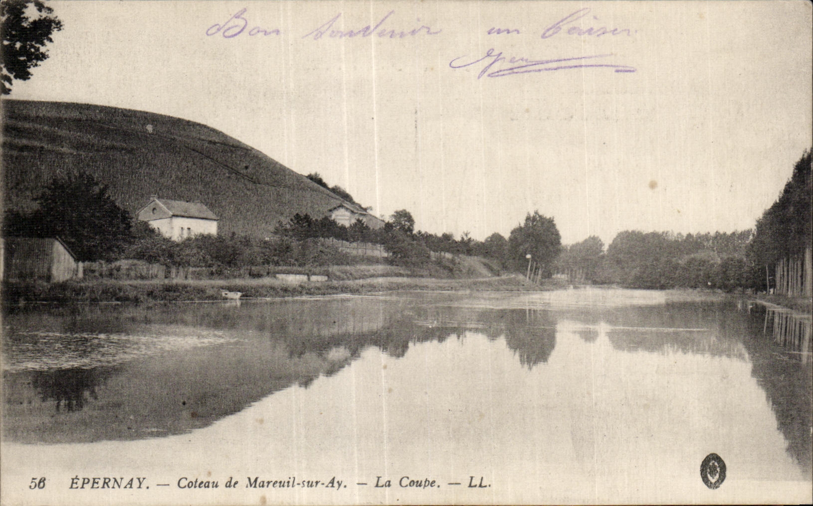 CPA Epernay Coteau de mareuil sur Ay La Coupe