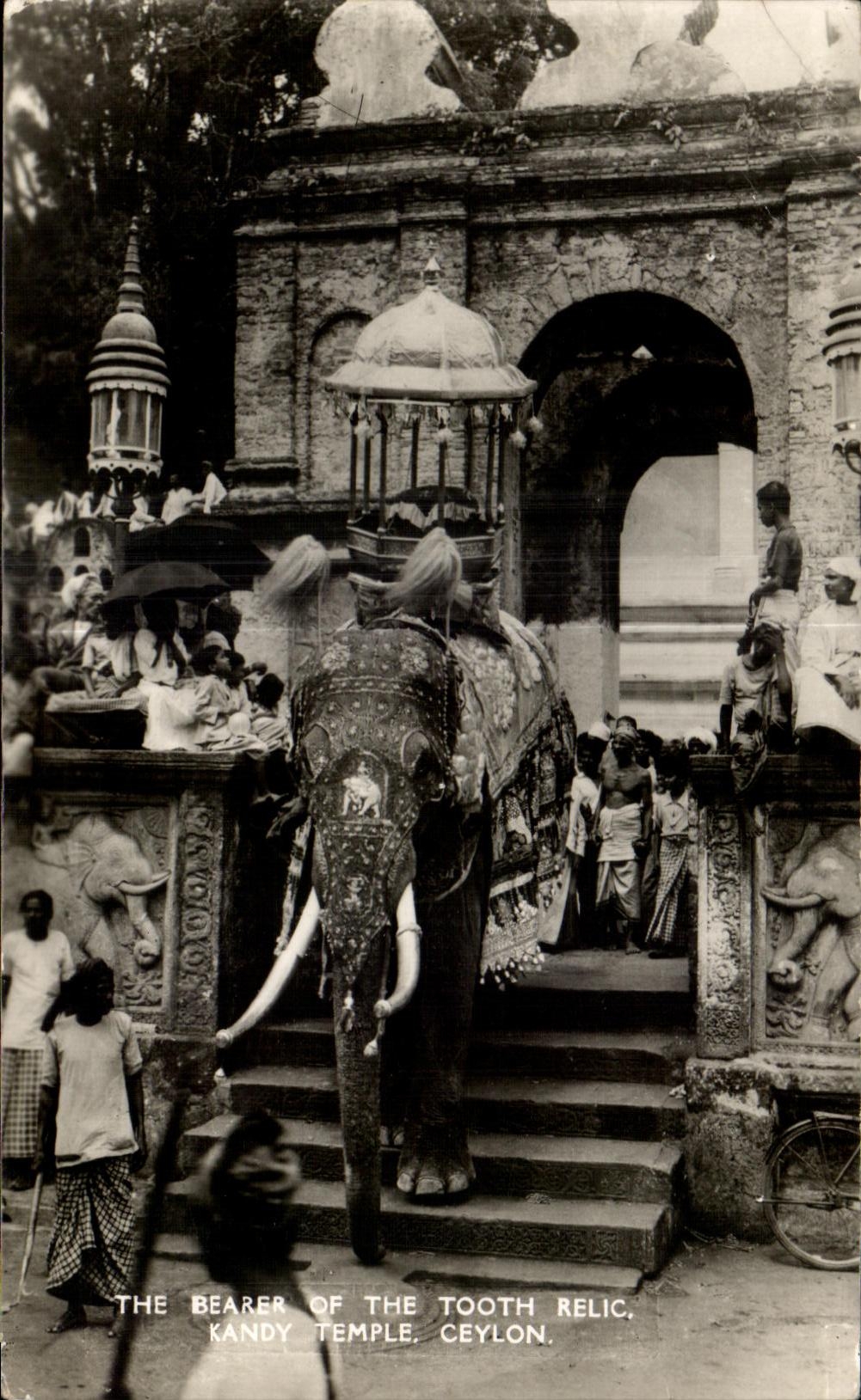 CPA The Bearer of The Tooth Relic Kandy Temple Ceylon Elephant