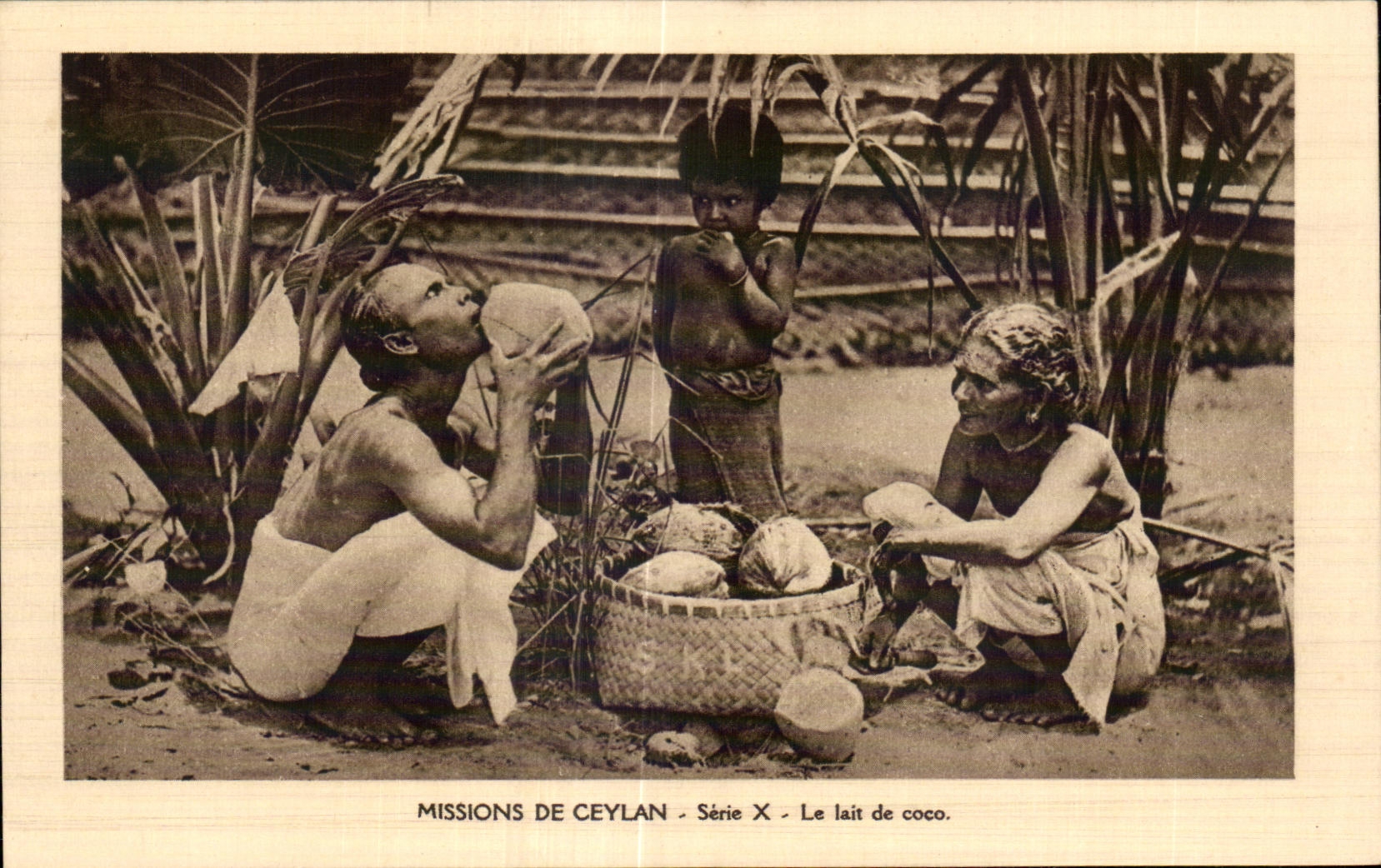 Le lait de coco — Missions de Ceylan — Série X