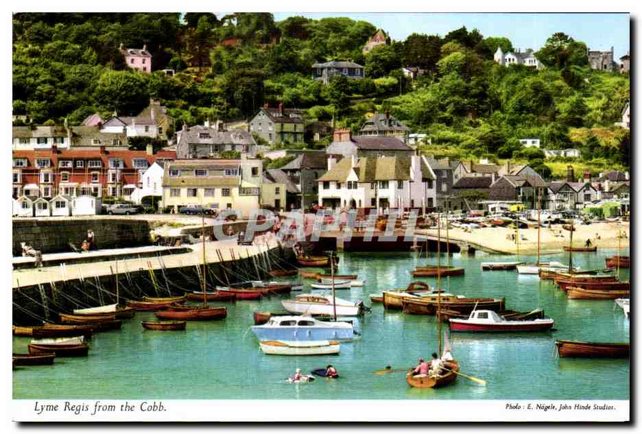 CPSM Lyme Regis from the Cobb irlande ireland