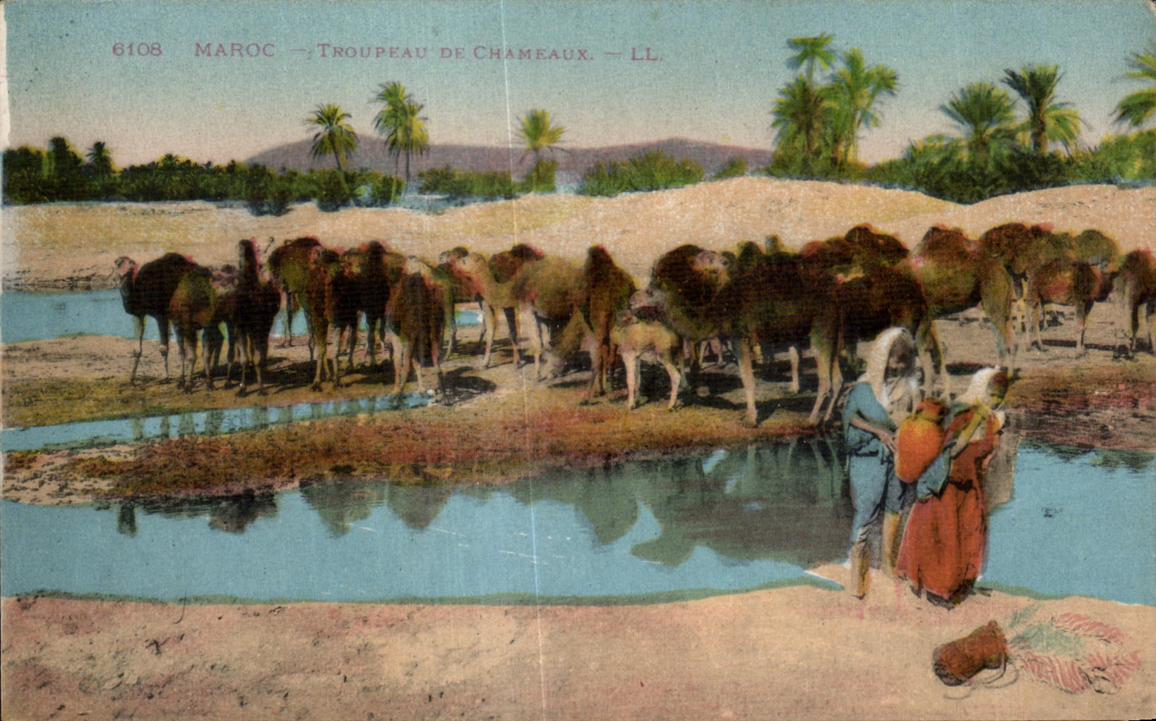 CPA Maroc Maroc troupeau de chameaux