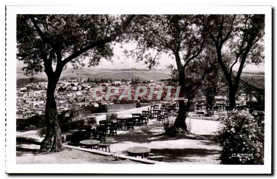 CPA Maroc Fes Vue du Cafe Maure