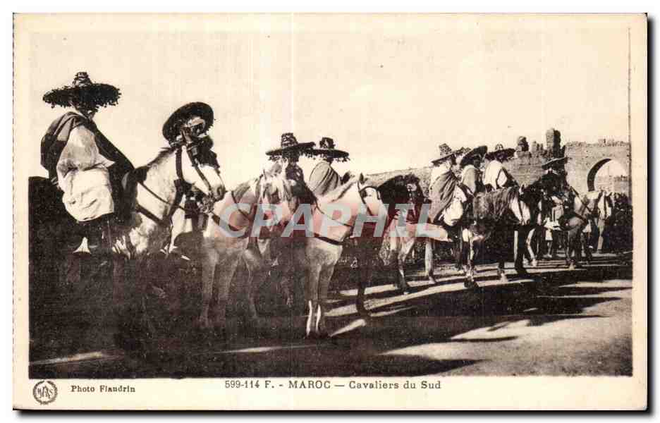 CPA Maroc Maroc Cavaliers du Sud Cheval Horse