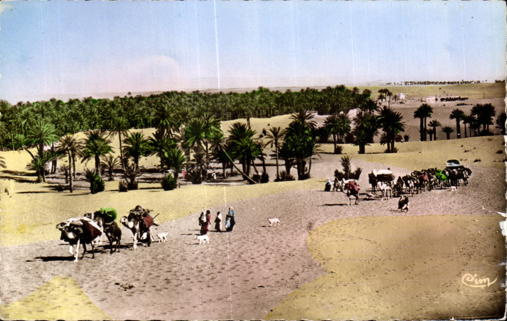 CPA Maroc Scenes et Types du du Maroc Une Caravane
