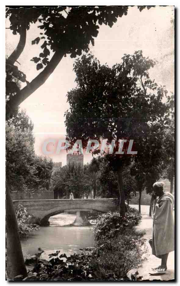 CPA Maroc Fez Oued Fez et Jardins de Boujeloud