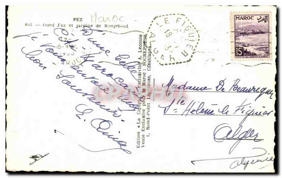 CPA Maroc Fez Oued Fez et Jardins de Boujeloud — Rückseite