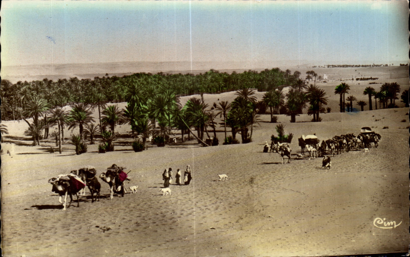 CPA Maroc Scenes et Types du Maroc Une Caravane