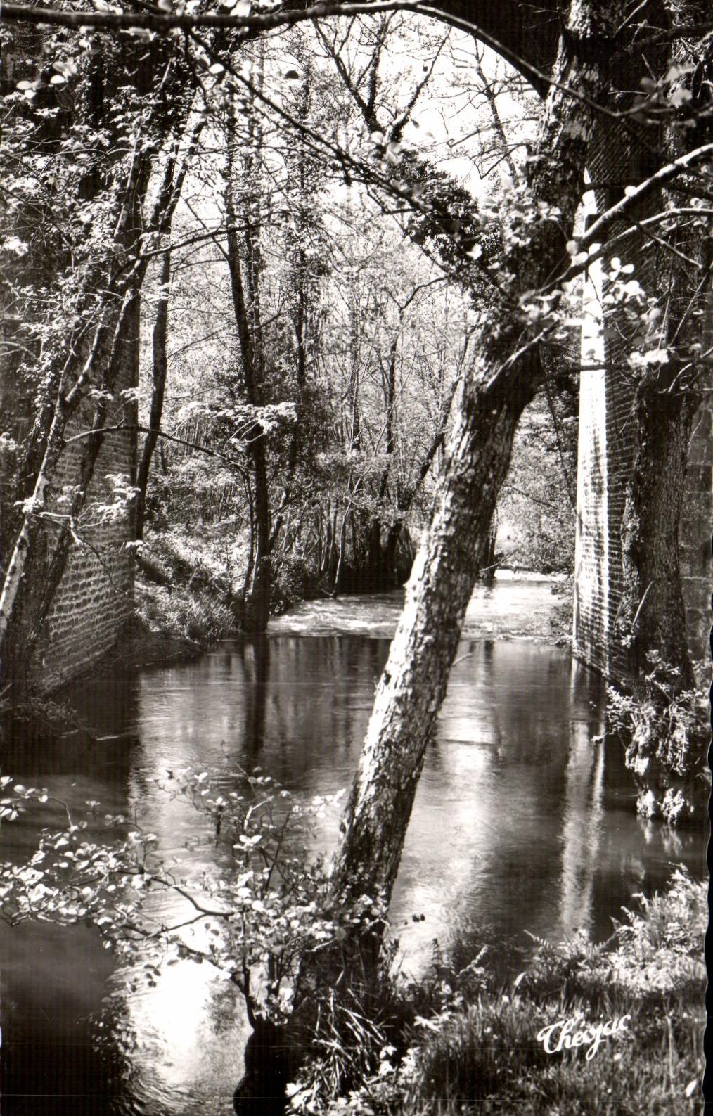 CPSM Environs de Saint Mathieu Le pont de le Besse