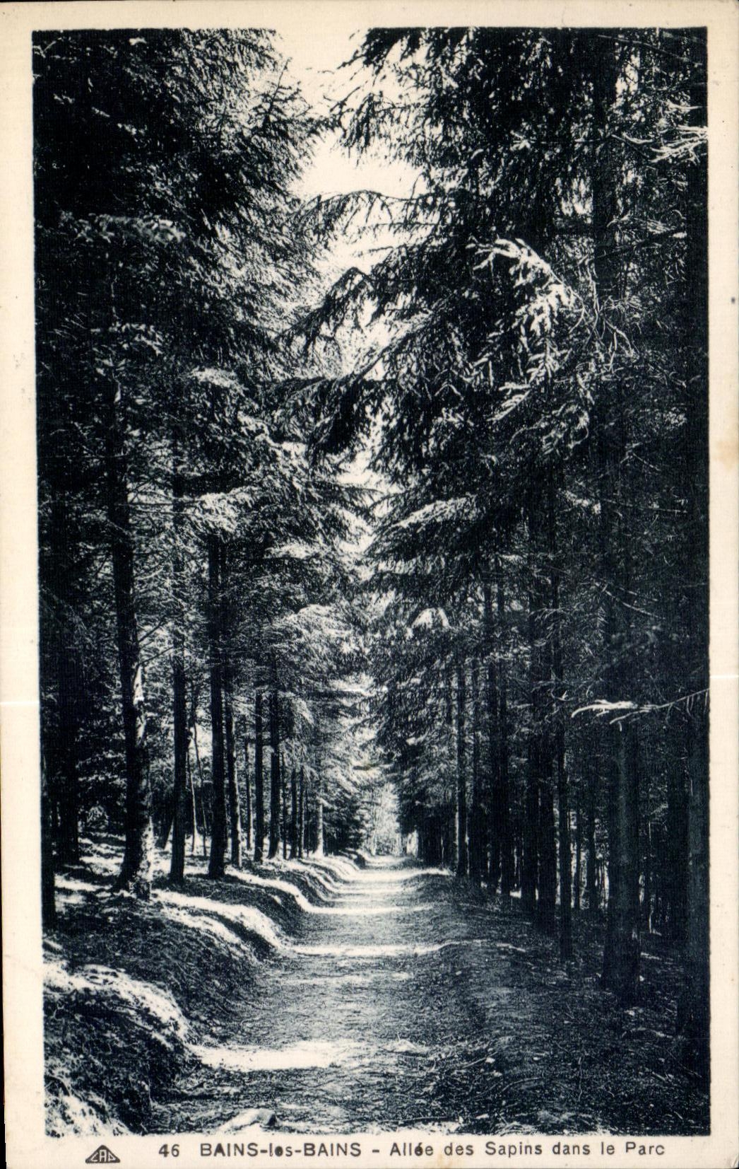CPA Bains Les Bains Allee des Sapins dans le pare