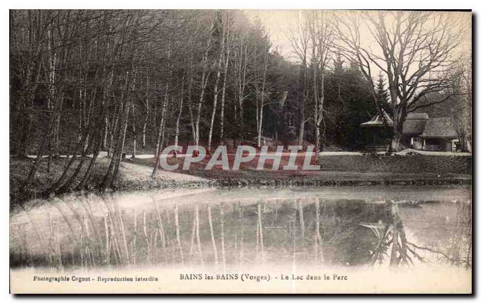 CPA Bains Les Bains (Vorges) Le Lac dans le Pare