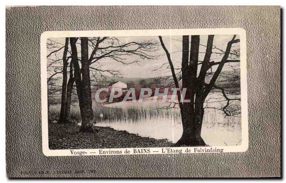 CPA Vosges Environs de Bains L Etang de Falvinfating