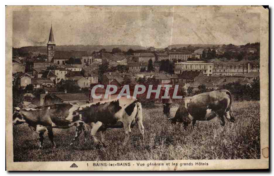 CPA Bains les Bains Vue generale et les grands Hotels Vaches