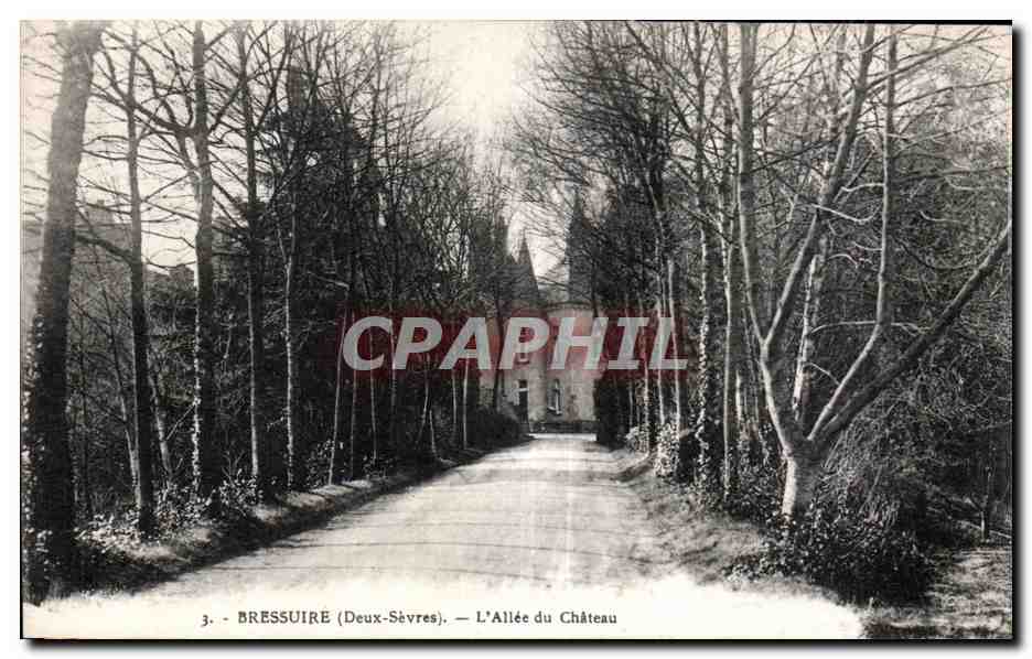 CPA Bressuire (Deux Sevres) L Allee du Chateau
