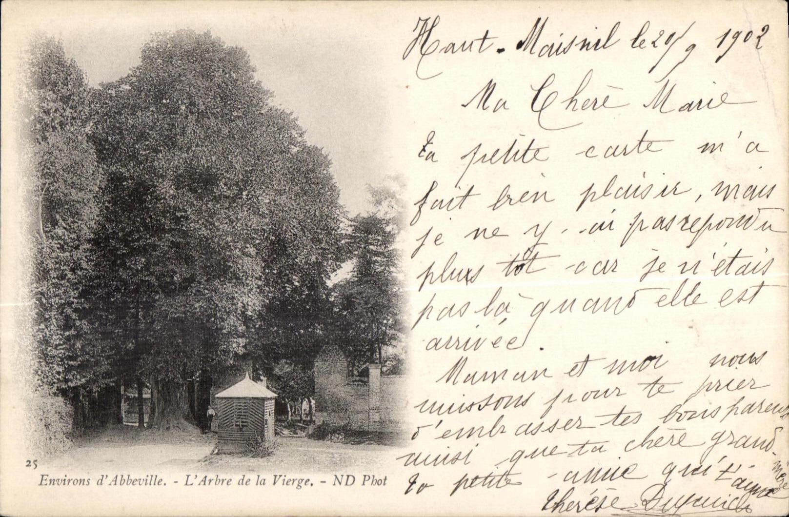 Abbeville - L Arbre de la Vierge - CPA 