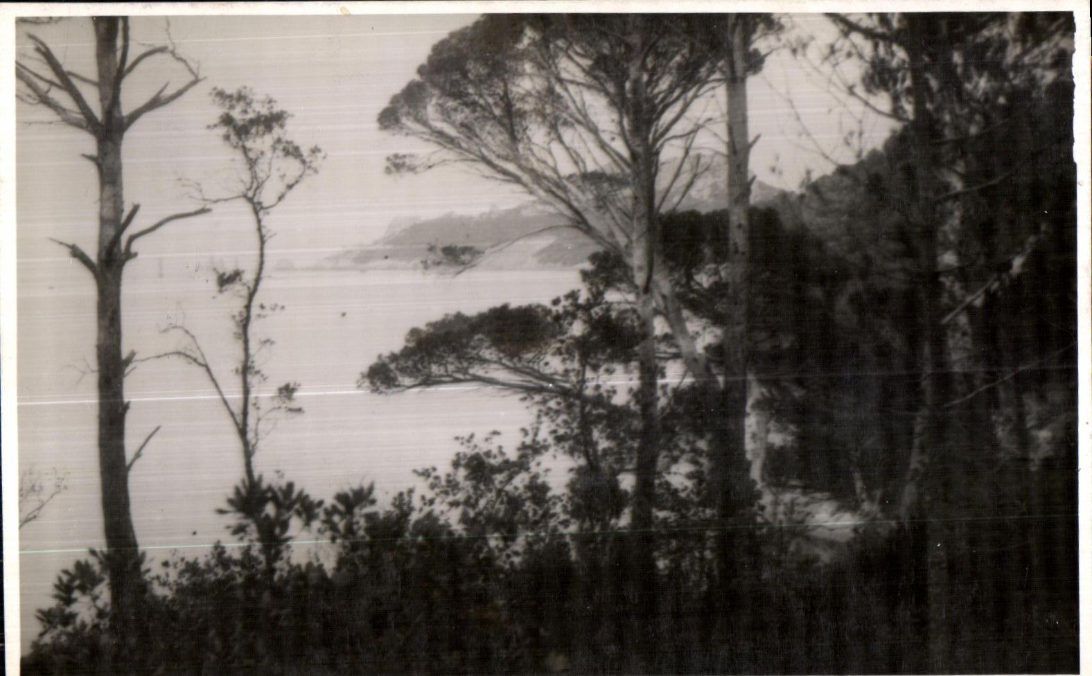 Vue de la mer à Porquerolles — éditeur non identifié