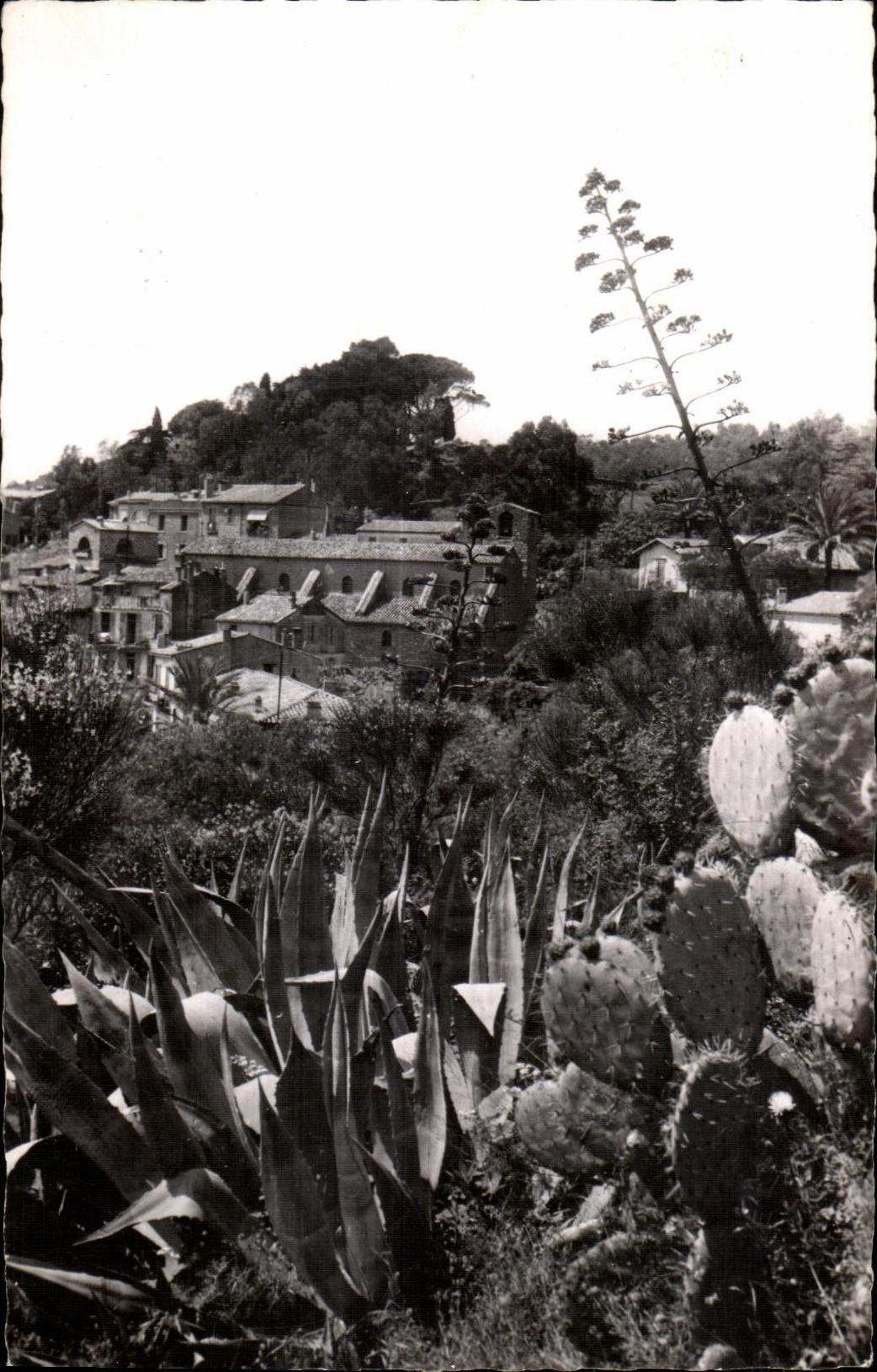 Bormes les Mimosas - Vue vers l Eglise - CPA 
