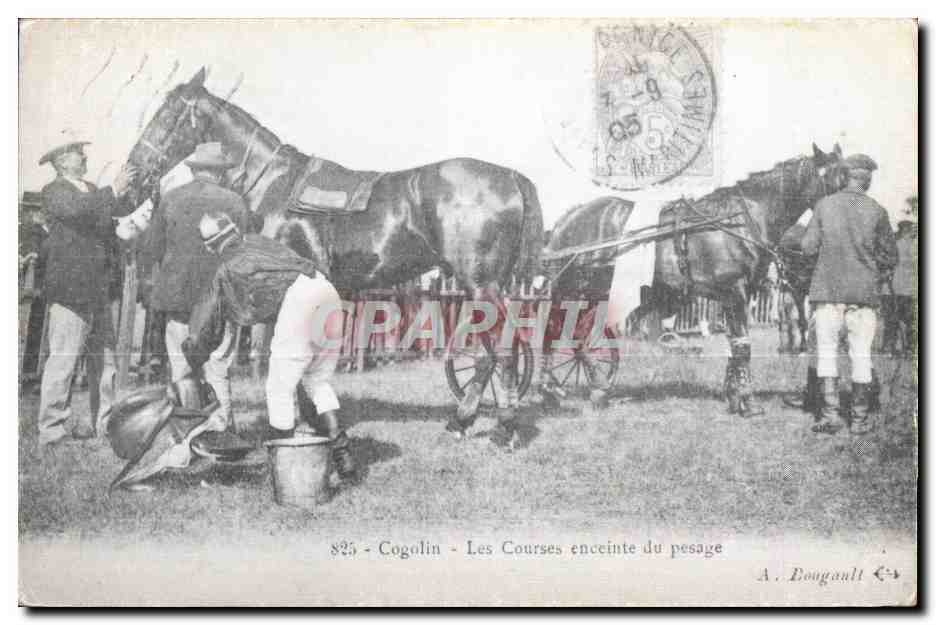 REPRO Cogolin - Les Courses enceine du pesage - horse - cheval - CPA Hippisme Course 