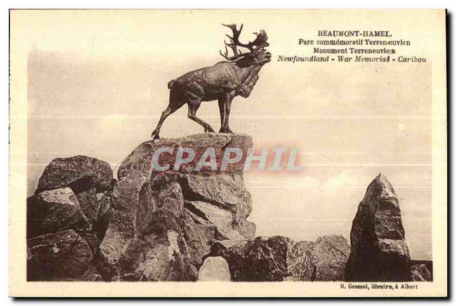 Beaumont-Hamel - Monument Terreneuvien - Caribou