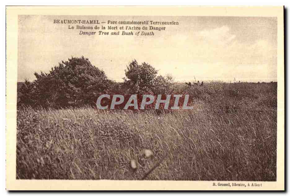 CPA Beaumont Hamel Parc commemoratif Terreneuvien Le Buisson de la Mort et I Arbre du Danger