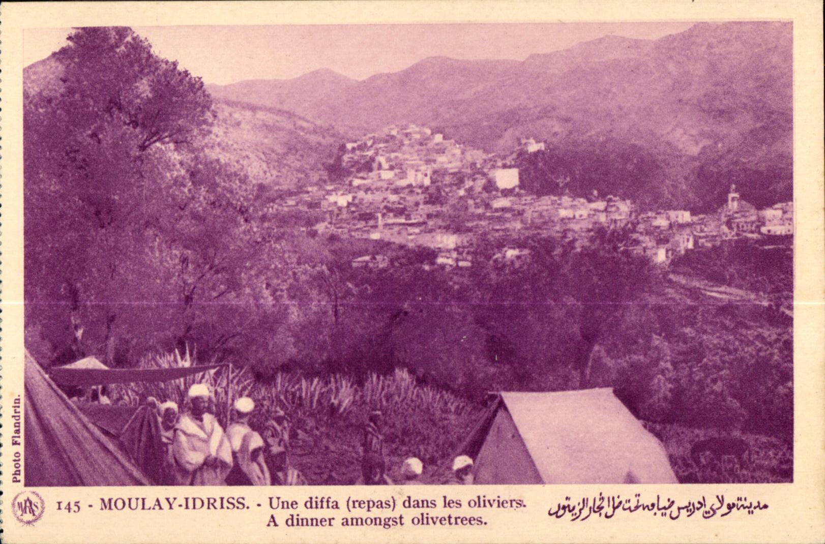 CPA Maroc Moulay Idriss Une diffa repas dans les oliviers