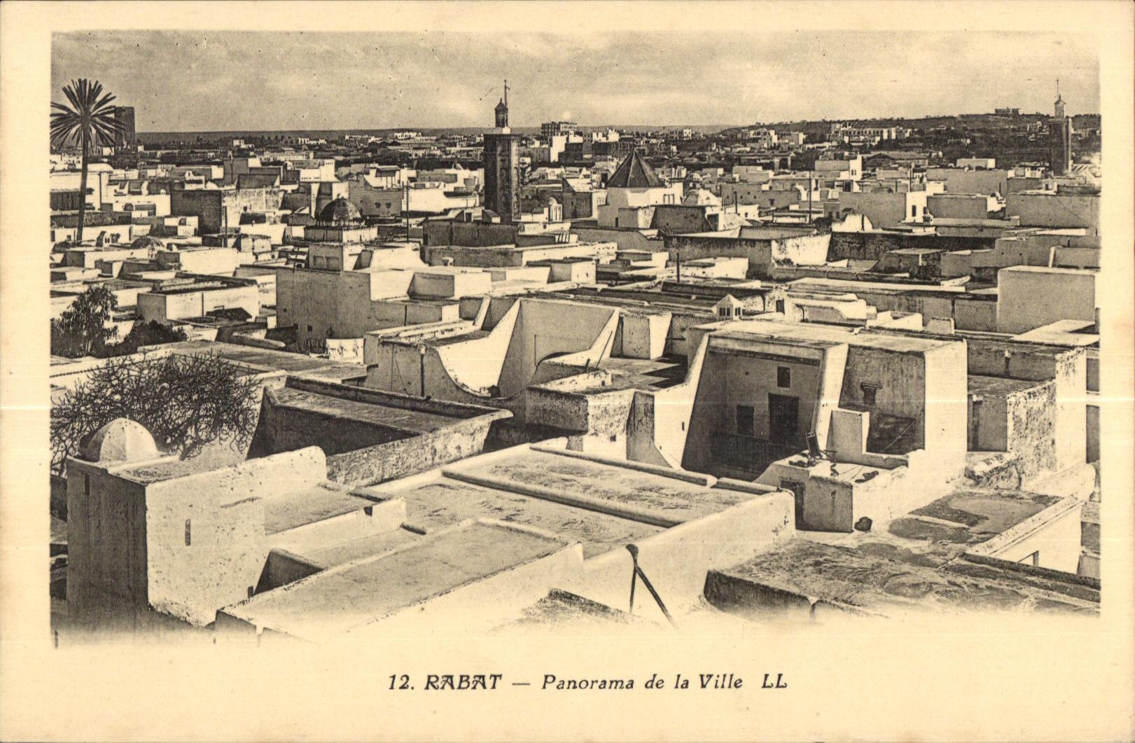 CPA Maroc Rabat Panorama de la Ville 