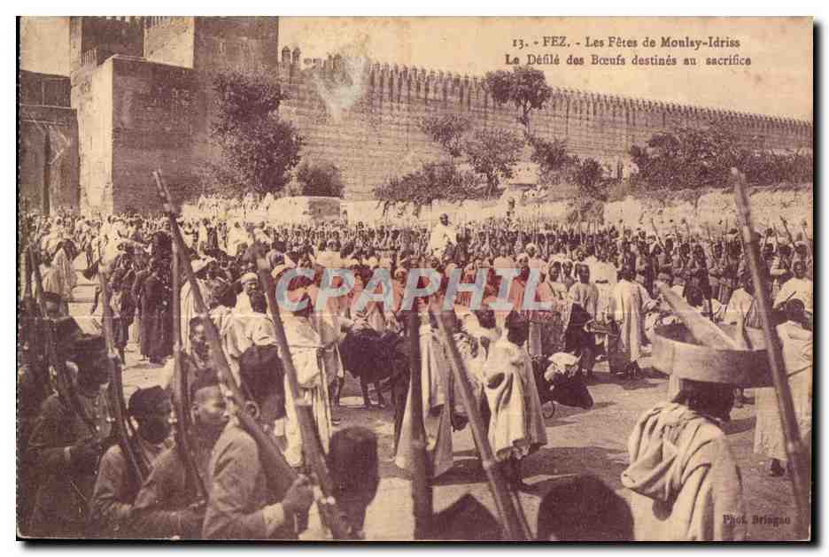 Fès - Las Fiestas de Moulay-Idriss - El Desfile de los Bueyes destinados al sacrificio