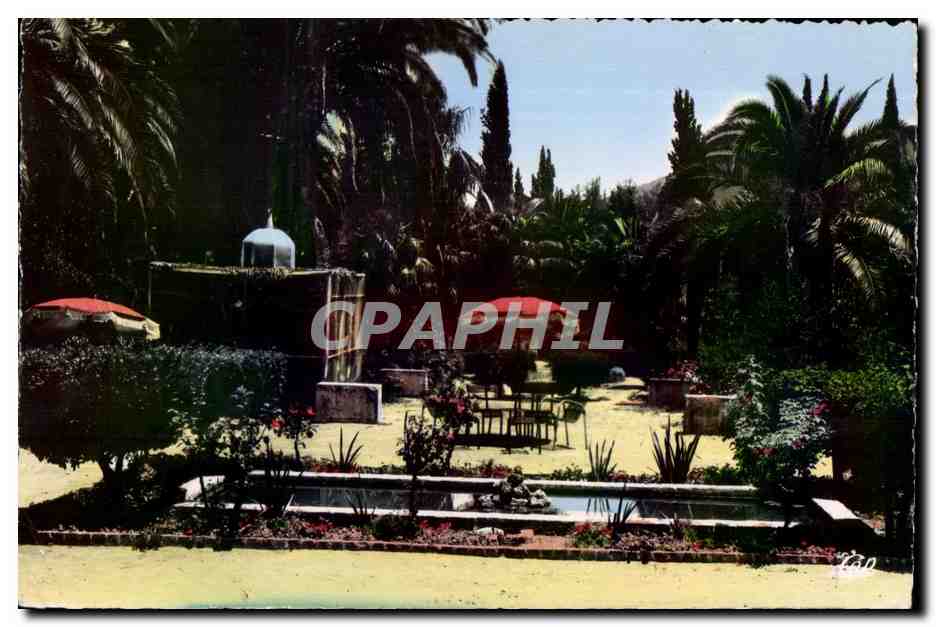 CPA Tlemcen Hotel Transatlantique Le Jardin